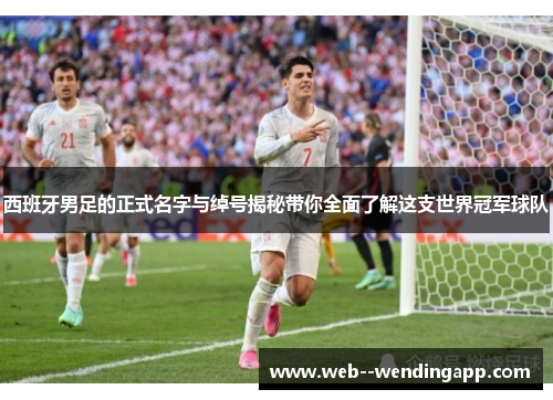 西班牙男足的正式名字与绰号揭秘带你全面了解这支世界冠军球队