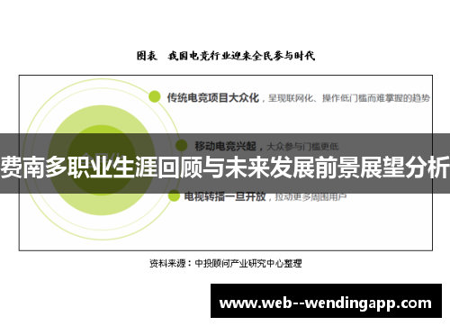 费南多职业生涯回顾与未来发展前景展望分析 费南多职业生涯回顾与未来发展前景展望分析