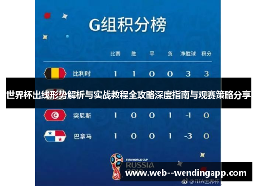 世界杯出线形势解析与实战教程全攻略深度指南与观赛策略分享 世界杯出线形势解析与实战教程全攻略深度指南与观赛策略分享